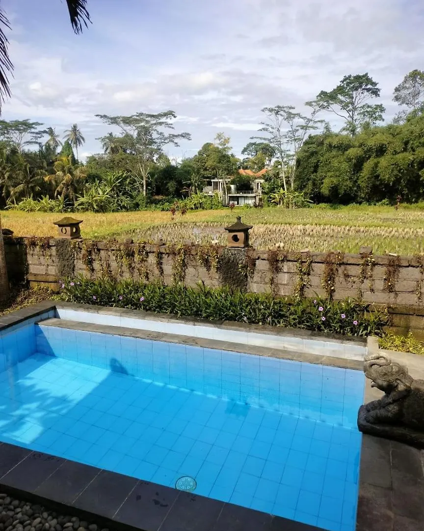 Villa Poleng Ubud  0*, Ubud (Bali) Indonesia