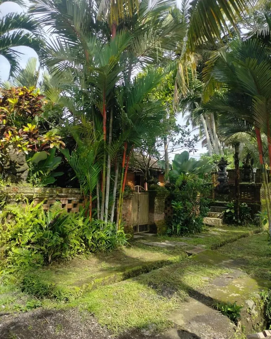 Guest house Villa Poleng Ubud  Indonesia