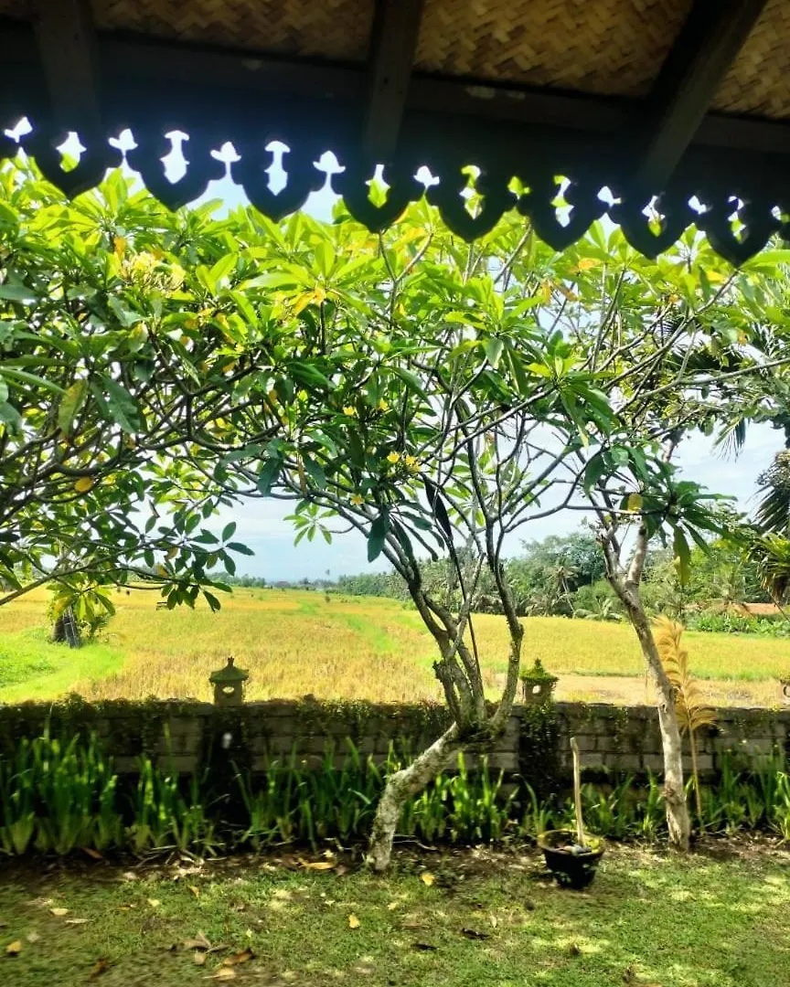 Villa Poleng Ubud  Ubud (Bali)