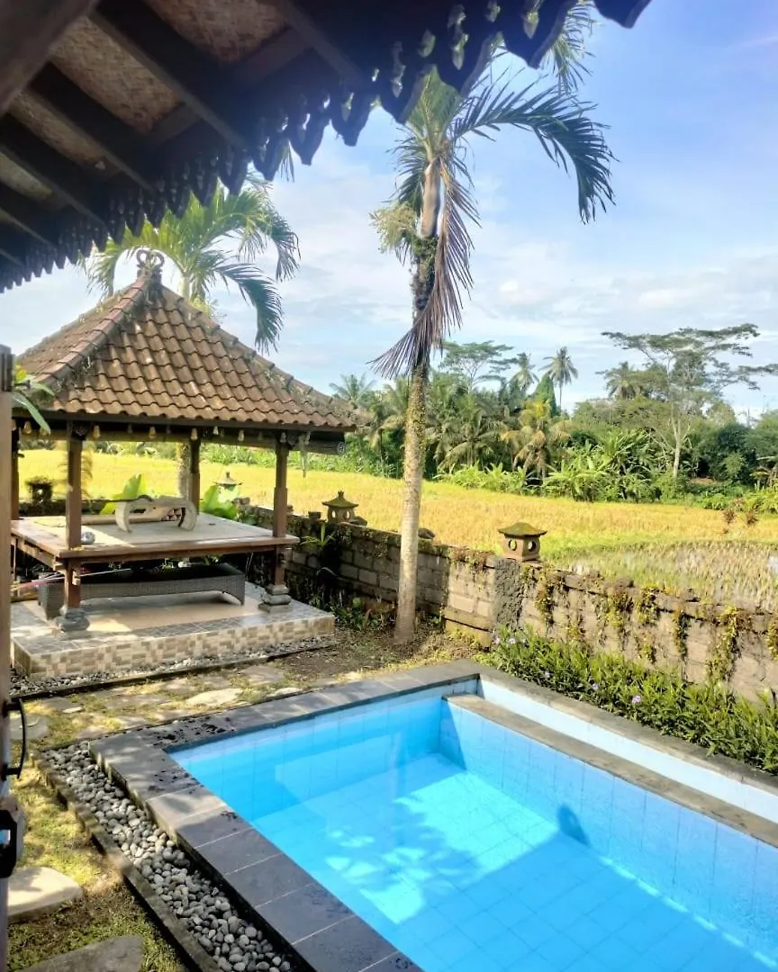 Guest house Villa Poleng Ubud  Indonesia